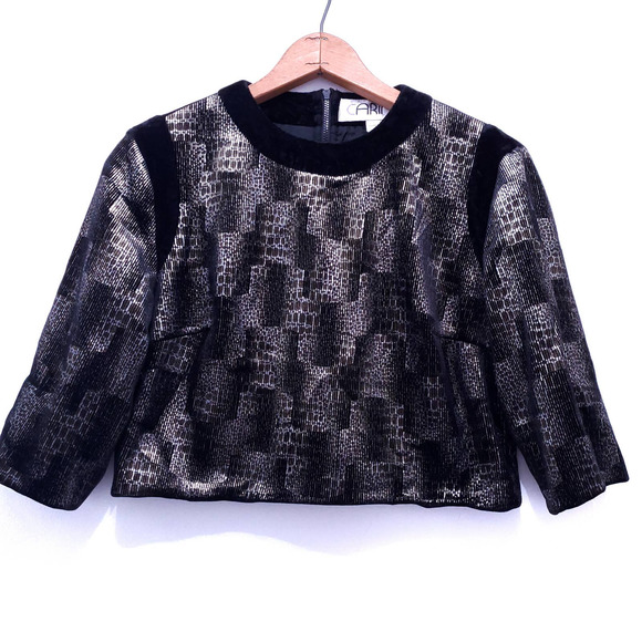 Vintage | Velvet Cropped Top Metallic Detail 6